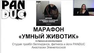 Марафон по Брюшным манипуляциям 