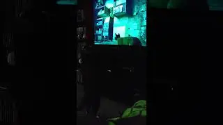 Jaffa's reaction to the video game Stray LOL #shorts #cats #funny #cute #pets #straygame