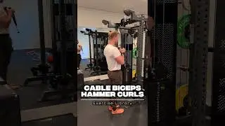 Cable Biceps Hammer Curls
