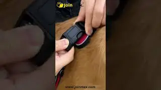 Arn&eacute;s reflectante de alta resistencia para perros grandes, Clip frontal sin tirones,