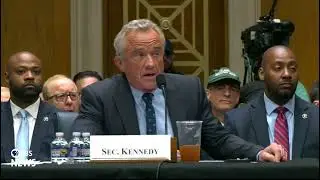 WATCH: Sen. Hassan grills RFK Jr. about a vaccine skeptic's role in autism research at HHS