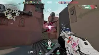 Flex - Highlight #4