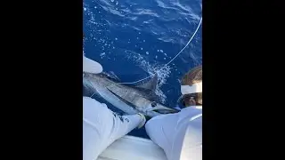 No Limit &ndash; Blue Marlin, Sailfish, and Dolphin Offshore Charleston SC