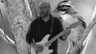 Tico Tico (Guitar Instrumental)