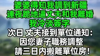 婆婆得知我調到新疆，連夜跪地逼丈夫和我離婚，我冷淡簽字，次日，丈夫接到單位通知：因您妻子職務調整，請三日内搬離單位房！#深夜淺讀 #夜讀人生 #大橘講故事  #情感故事 #講故事  #幸福生活