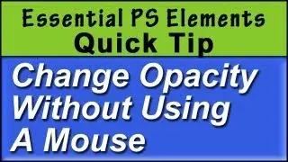 Photoshop Elements Tip: Opacity ShortCut