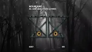 Natalino Nunes - Bird (Ricardo Luiz Remix)