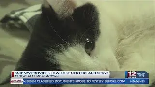 SNIP WV aims to make a difference for animals and humans alike