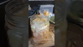 Tangerina em Conserva no pote de vidro dura 2 anos fora de geladeira