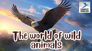 English for Beginners | Listening | The world of wild animals