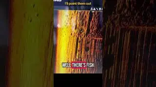 Read your @Humminbird Side image!  #gamechanger #viralfishing #monsterstriper #lighttackle
