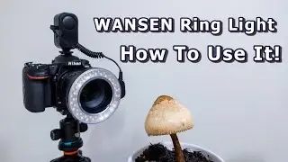 Wansen LED Ring Light | How To Use It Correctly