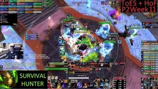 H ToES + HoF + MSV 25 man - Survival Hunter PoV - Week 11 MoP Phase 2 - 12-8-25