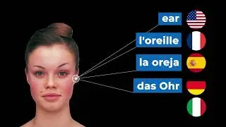 5 languages 1 face - vocabulary challenge #polyglot #german #english #polyglotjourney