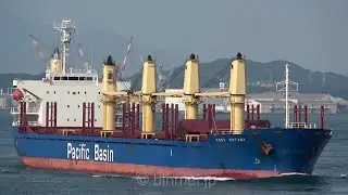 PORT BOTANY - PACIFIC BASIN SHIPPING bulk carrier