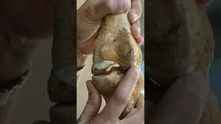 video showing locking of knee joint at the end of extension