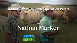 Info About Adding Goats To Kansas Cattle Ranch with Nathan Marker Part 1 by KGLC & USDA
