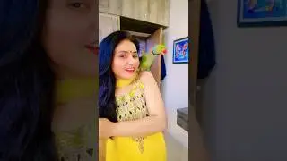 Pablo Parrot Talking Jai Mata Di ❤️ #shorts #parrot #talkingparot #navratri