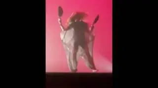 Sia - FIRE MEET GASOLINE - LIVE Hollywood bowl (09-10-2016)
