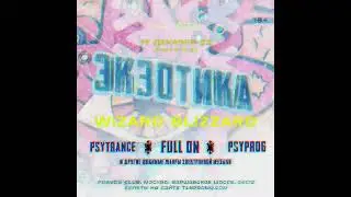 Экзотика Wizard Blizzard @ Pravda 17.12.22