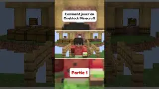 Comment jouer en Oneblock sur Minecraft ?