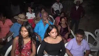 LUIS REY EL GALLITO TOCANDO EN CAMPANARIO GUERRERO
