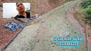 Giới thiệu quy mô  hợp tác xã bồ kết ghép nhà vườn 