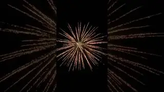 3 inch golden brocade crown #feuerwerk #brocade #fireworks