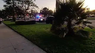 LAPD Pacific division traffic stop