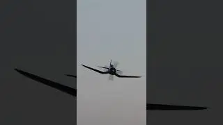 Chance Vought F4U-4 Corsair #shorts #warbirds #aviation