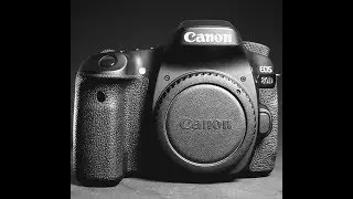 Canon 80D in 2019