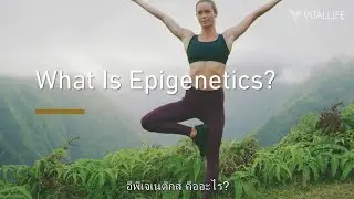 VitalLife Q&A : อีพิเจเนติกส์ คืออะไร?