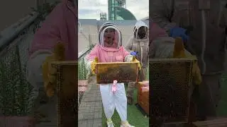 Beekeepers working in Toronto?!🐝🤔😨 #torontocreator