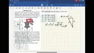 Razonamiento lógico matemático (áreas,Pitagoras)