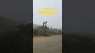 പൊന്മുടി ⛰️🏞️#travel #ponmudi #trending #rain #trip #trivandrum #love #viral #shorts