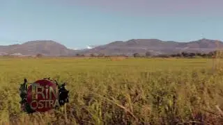 Northern range Trinidad