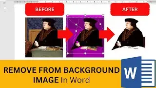 How to Remove Background From Picture in Word [2024]