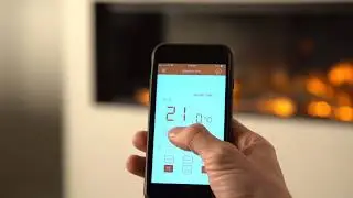 Evonic Fires