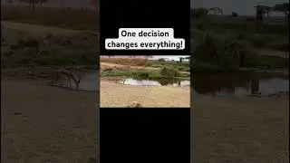 #motivation #motivationalvideo #short video #life #development#motivational #workout