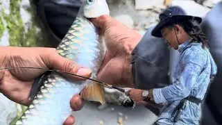 Seti khola ko asala,katle macha #fishing #dailyvlog #fishinglife 