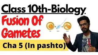 Fusion Of Gametes | Class 10th Biology | Pashto | Home of biology