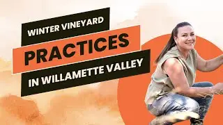 Winter Vineyard Practices | Setting the Stage for a Successful Growing Season