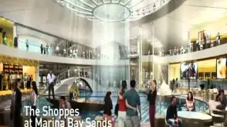 Sands Expo and Convention Centre.flv