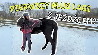 👶 Początek pracy w siodle I Praca z młodym koniem #2