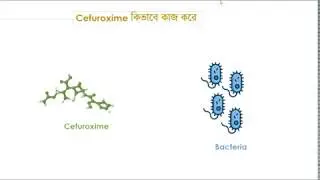 How Clavulanic Acid Protects Cefuroxime Courtesy by Cerox CV