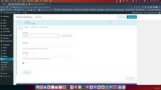 WordPress Elementor: Custom Fields Made Easy (2025)