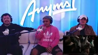 [Reacción] Grupo Frontera, Oscar Maydon - ¿Qué Te Parece? (Video Oficial) | ANYMAL LIVE 🔴