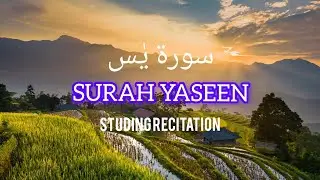 Most beautiful recitation of surah Yaseen (Yaseen) : Islamic waqia 