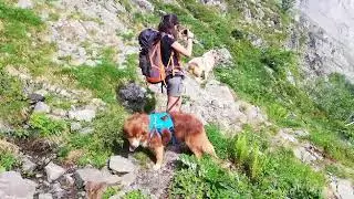 Canirando au Lac d'Isabe