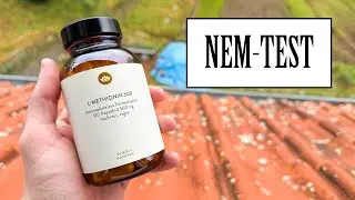 Sunday Natural - L-Methionin 500 | NEM-TEST